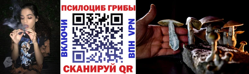 Псилоцибиновые грибы мухоморы  цена   Поронайск 